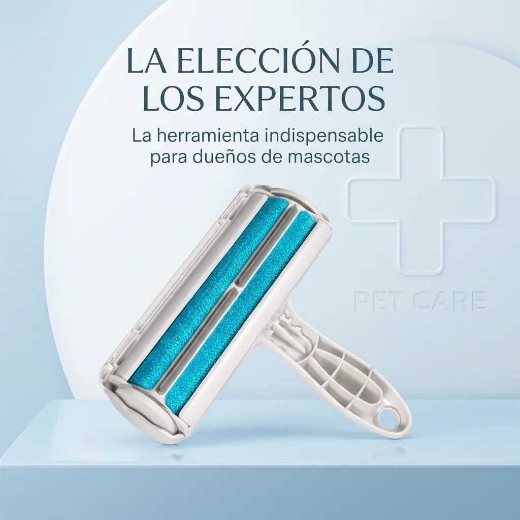 Autoridad